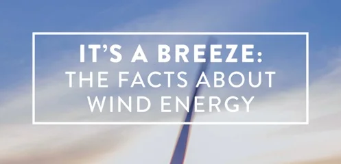 windfact-ebook-dl.jpg
