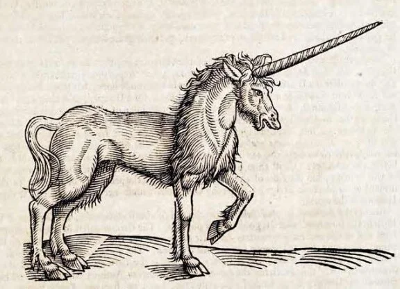Unicorns & Talking Snakes