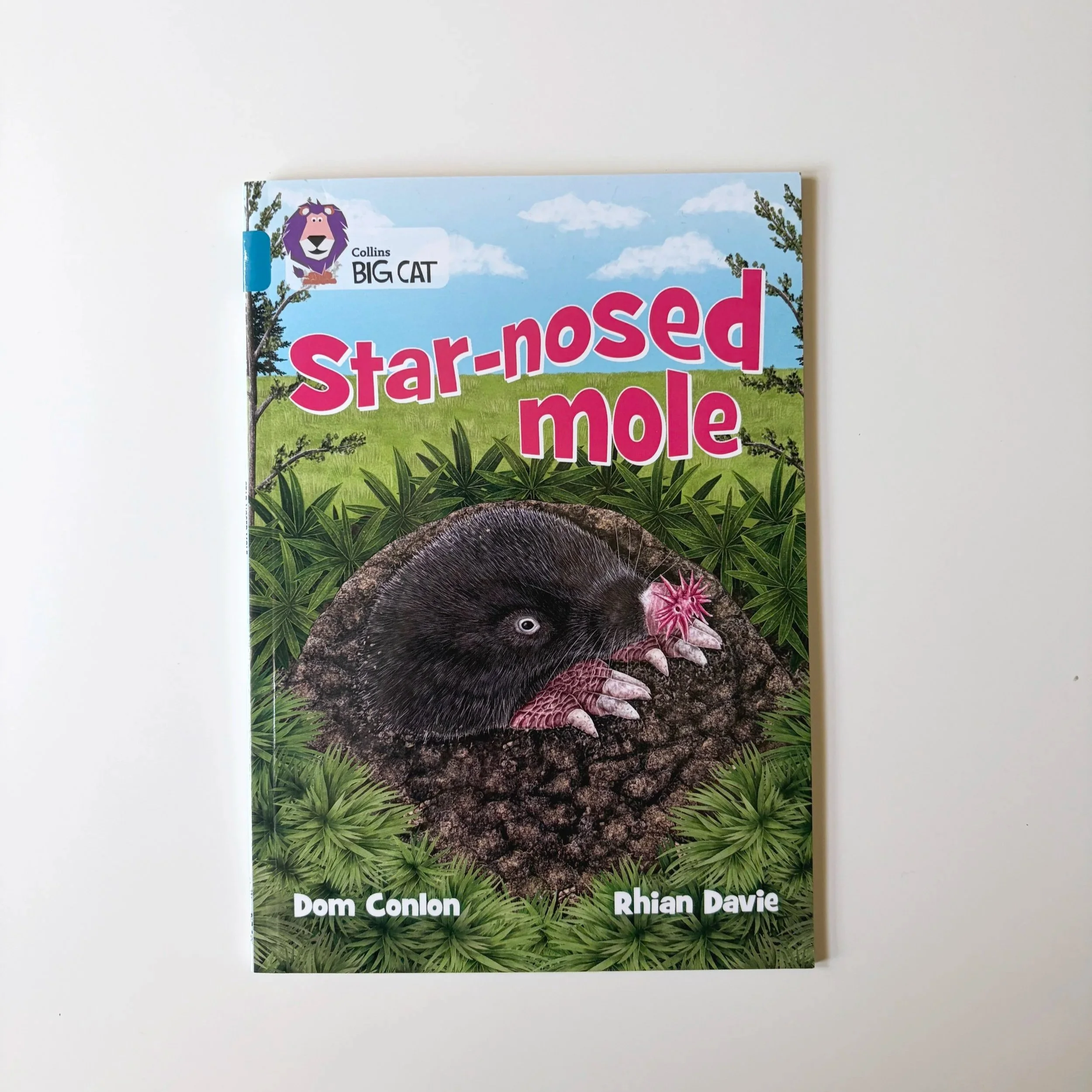 rhian-davie-star-nosed-mole-book-cover-image-2.jpg