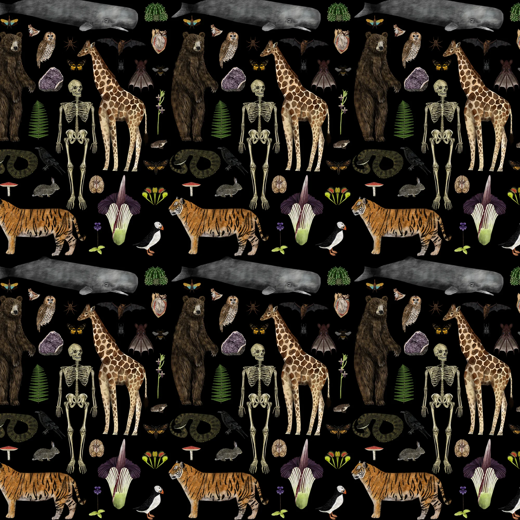 natural history curiosity print repeat pattern 1.jpg