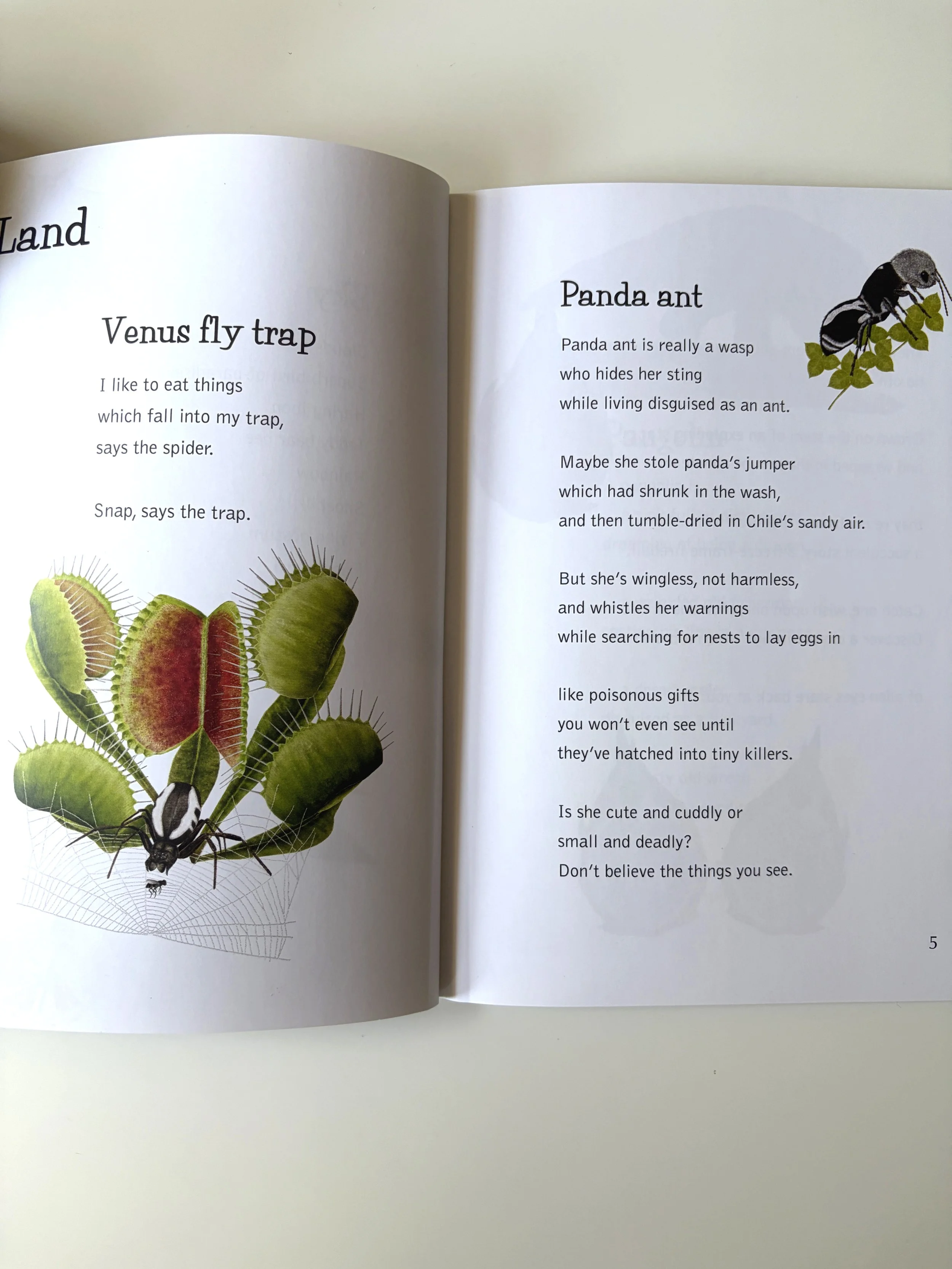 rhian-davie-star-nosed-mole-book-planet-land.jpg