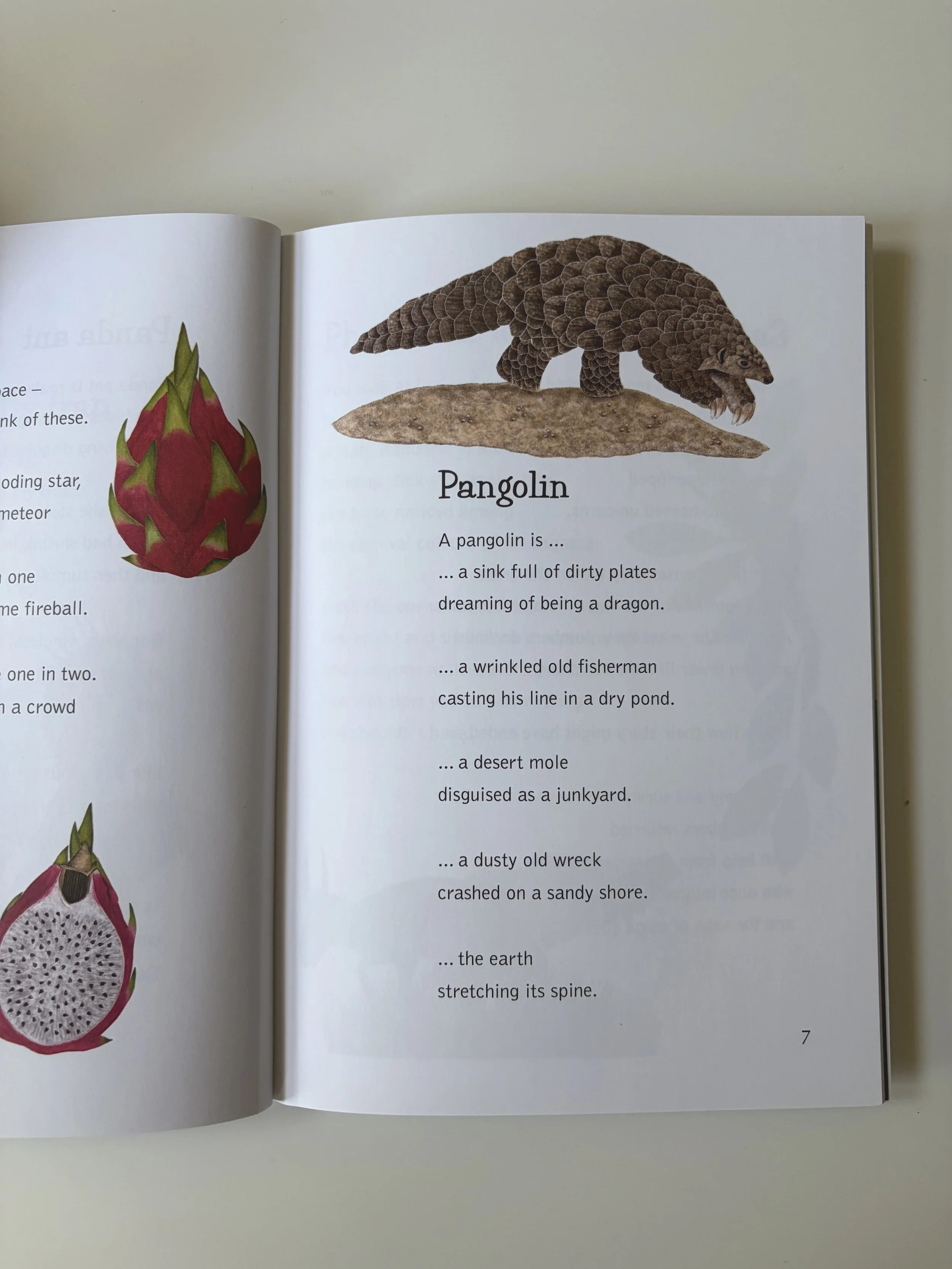 rhian-davie-star-nosed-mole-book-pangolin.jpg