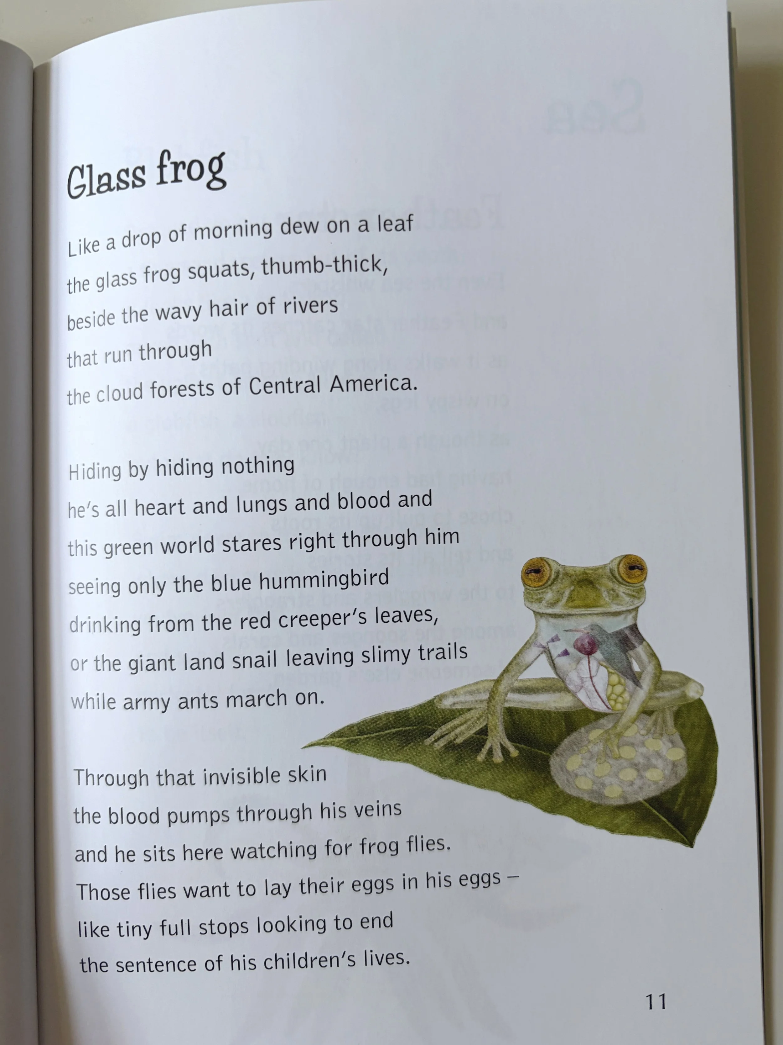 rhian-davie-star-nosed-mole-book-glass-frog.jpg
