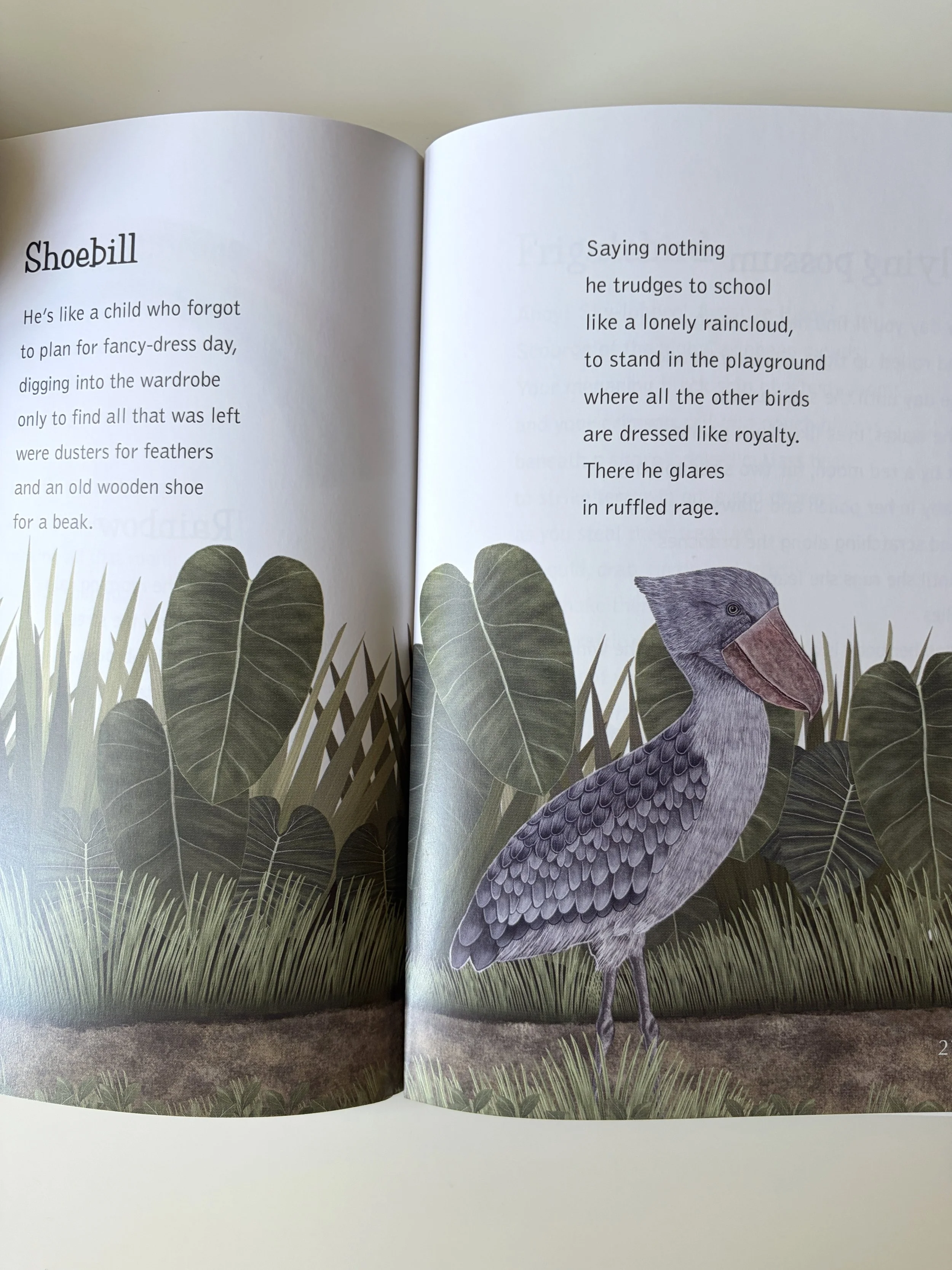 rhian-davie-star-nosed-mole-book-shoebill.jpg