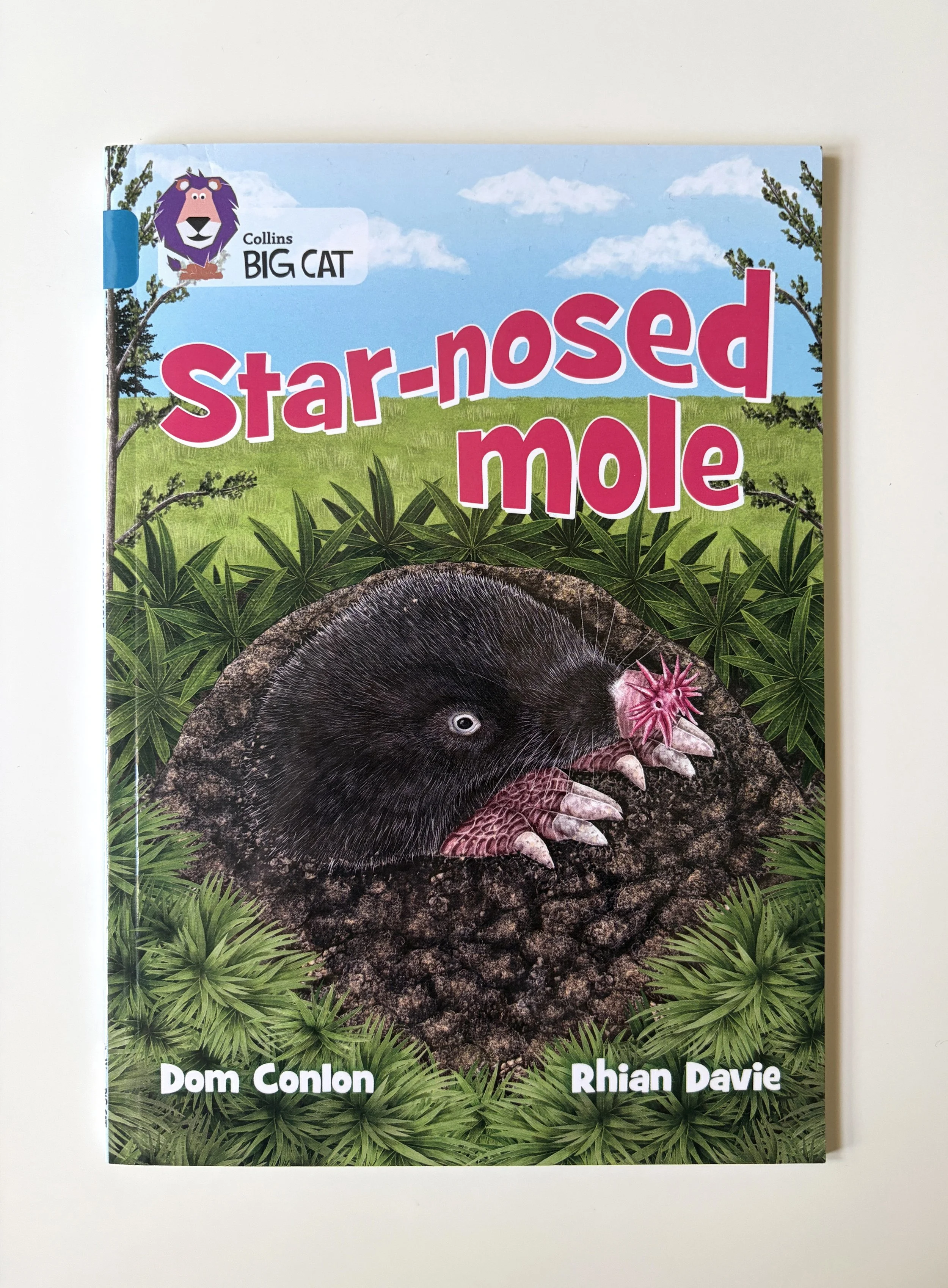  Cover Illustration for the Star-nosed-mole 
