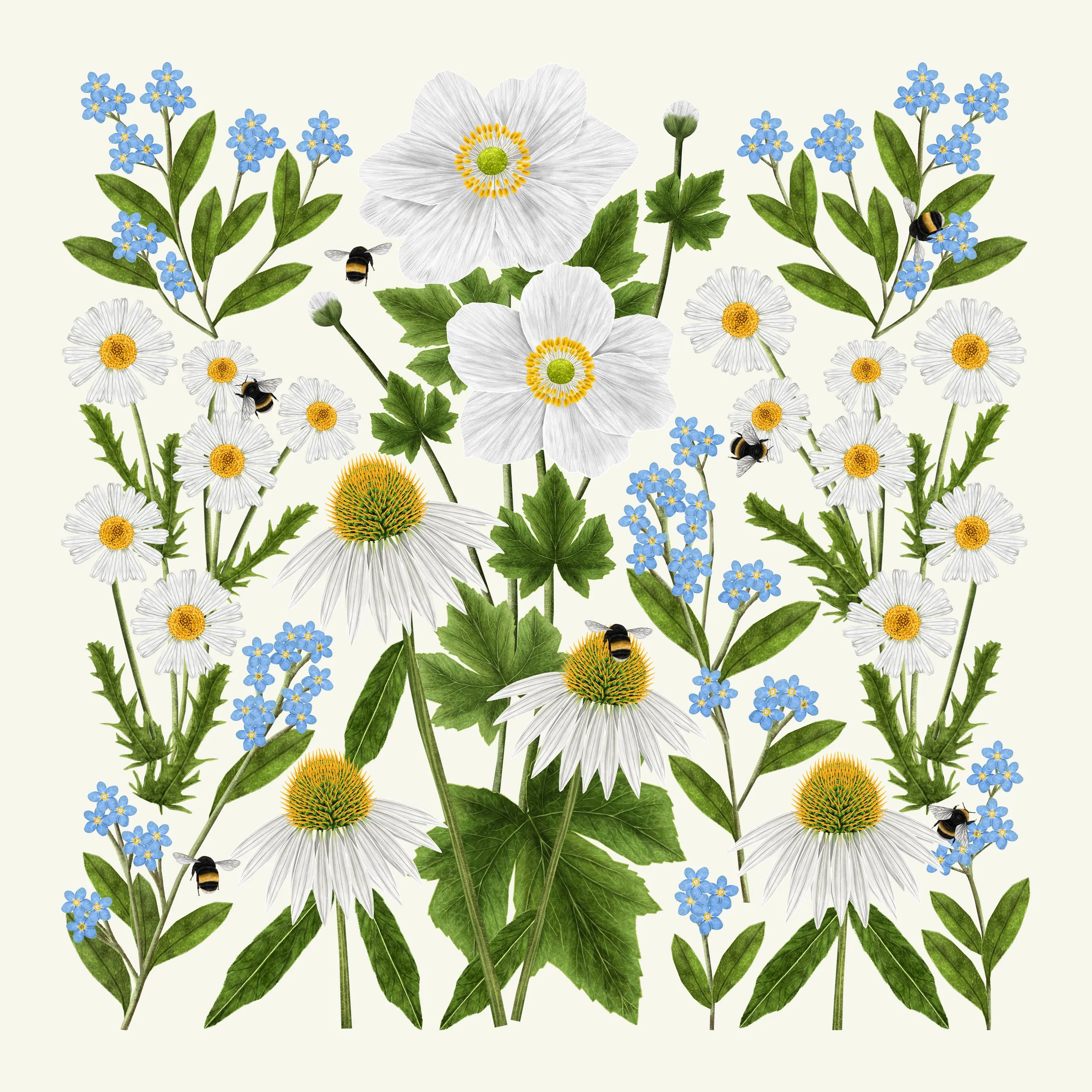 illustration 4 bumblebees and buzz pollination.jpg