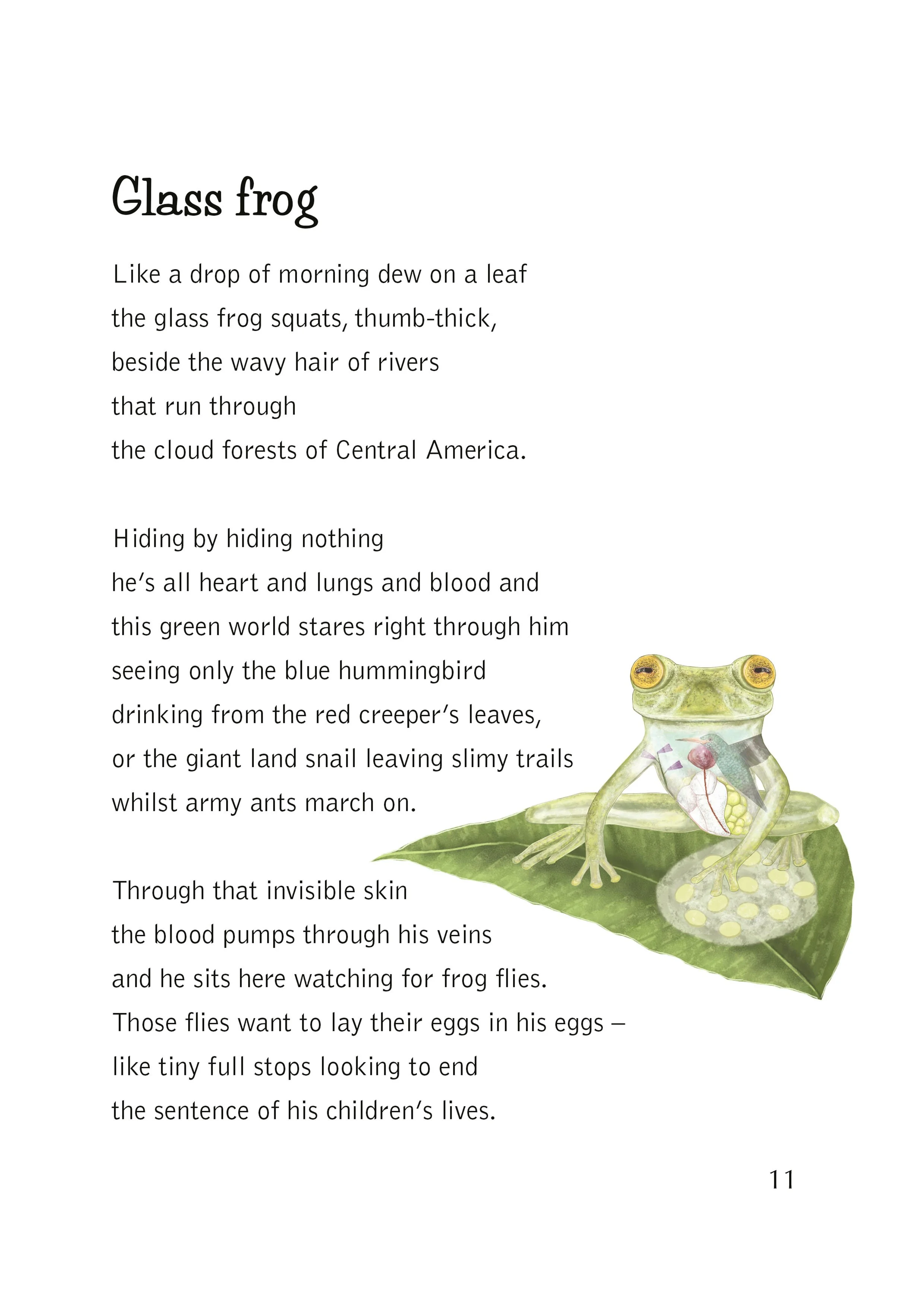 rhian_davie_collinsbigcat_glass_frog_image.jpg