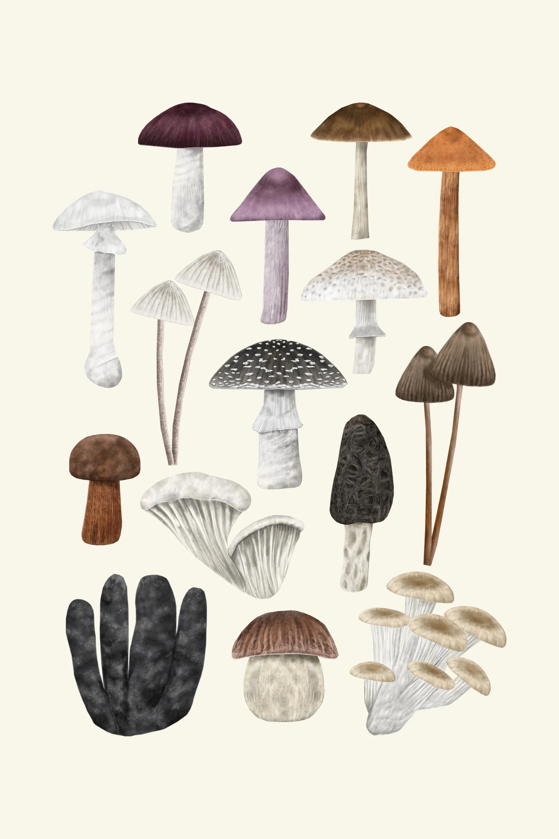 british+mushrooms+study+2021.jpg