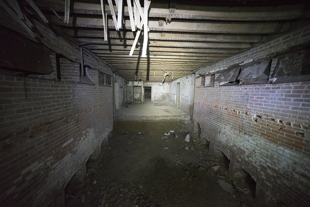 DSC00418-lr.jpg