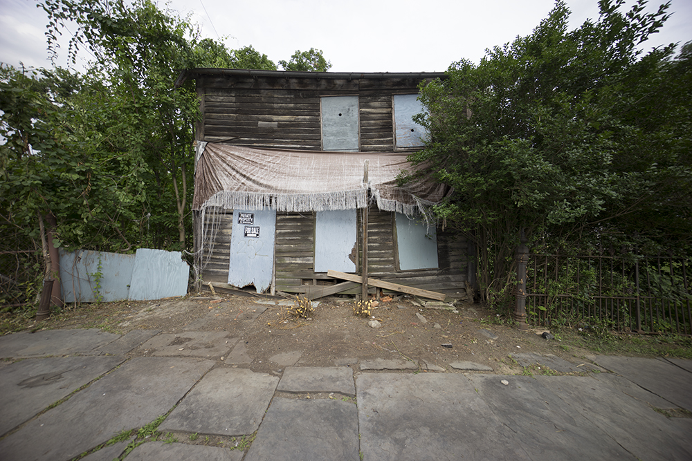 DSC04836-lr.jpg