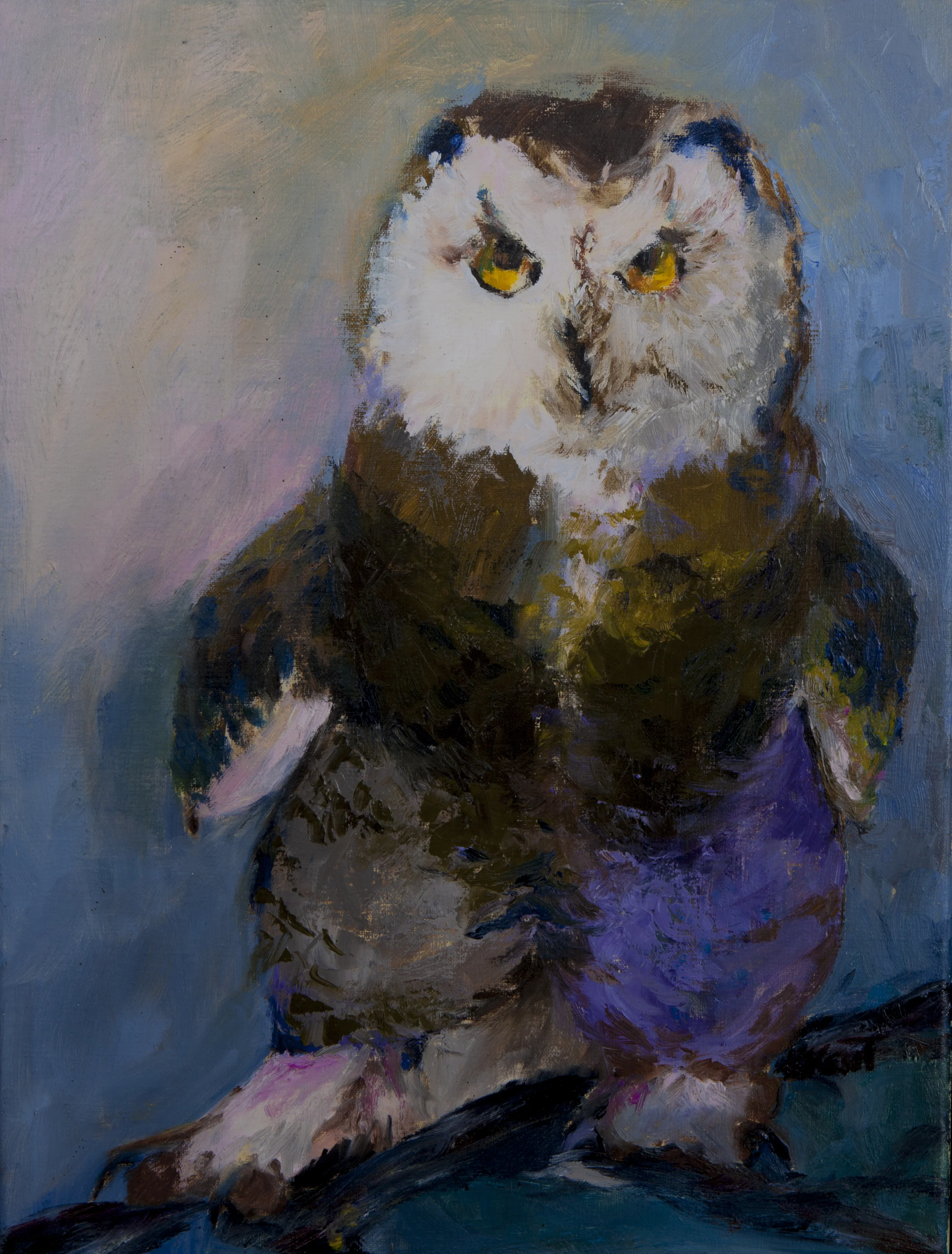 Hugh 12" x 16" Oil