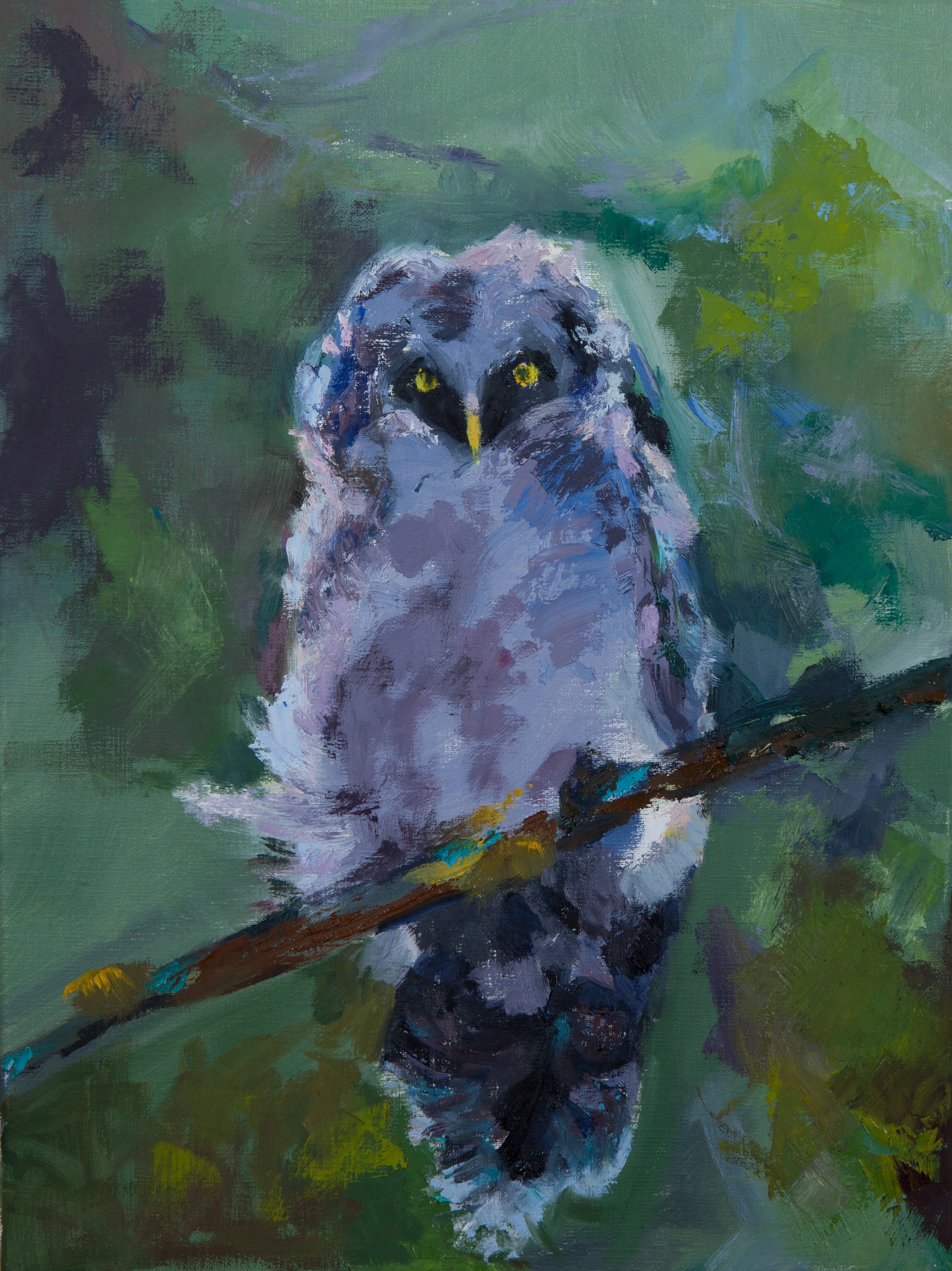 Henry 12" x 16" Oil
