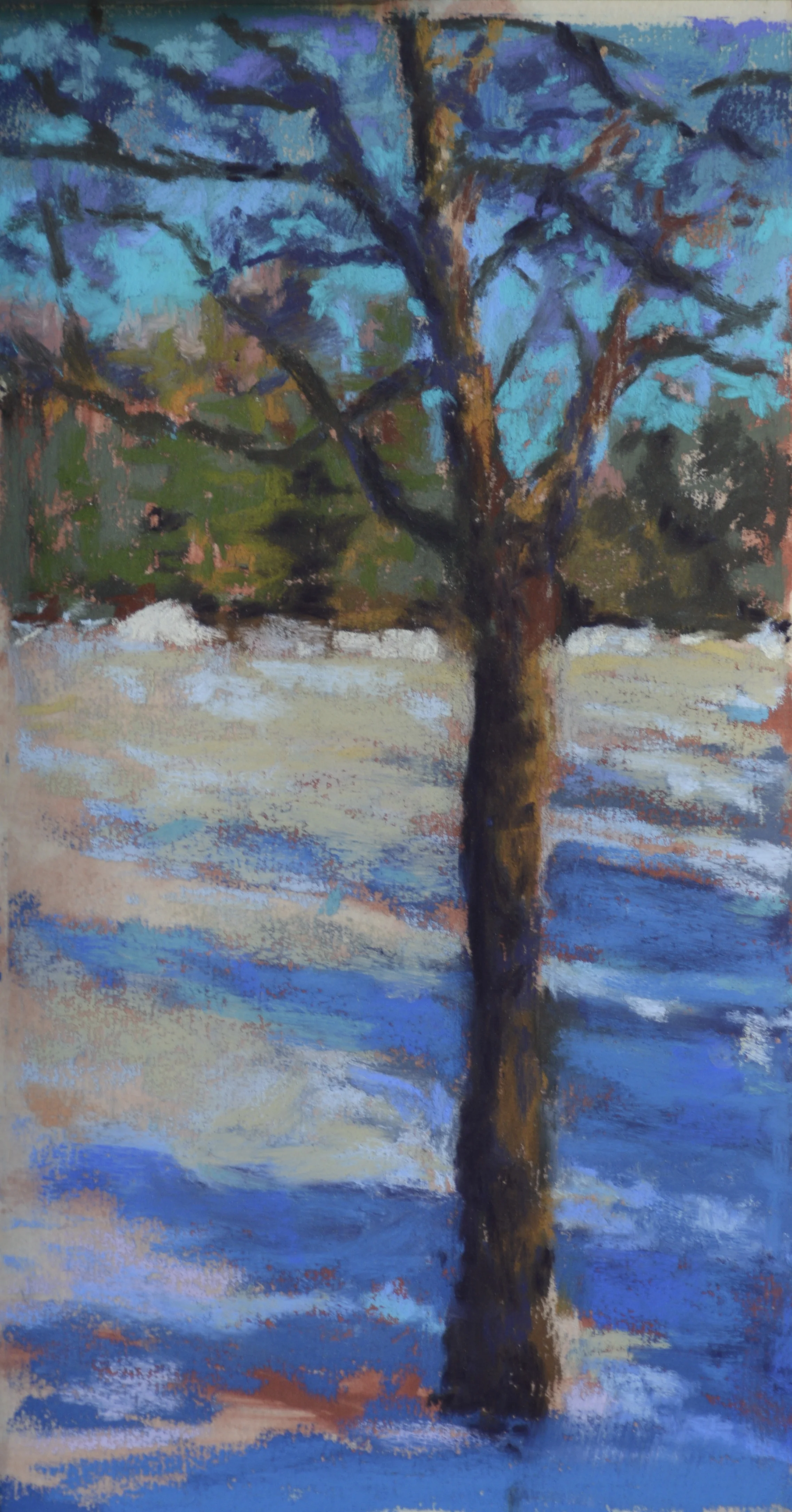 Otis 6" x 12" Pastel