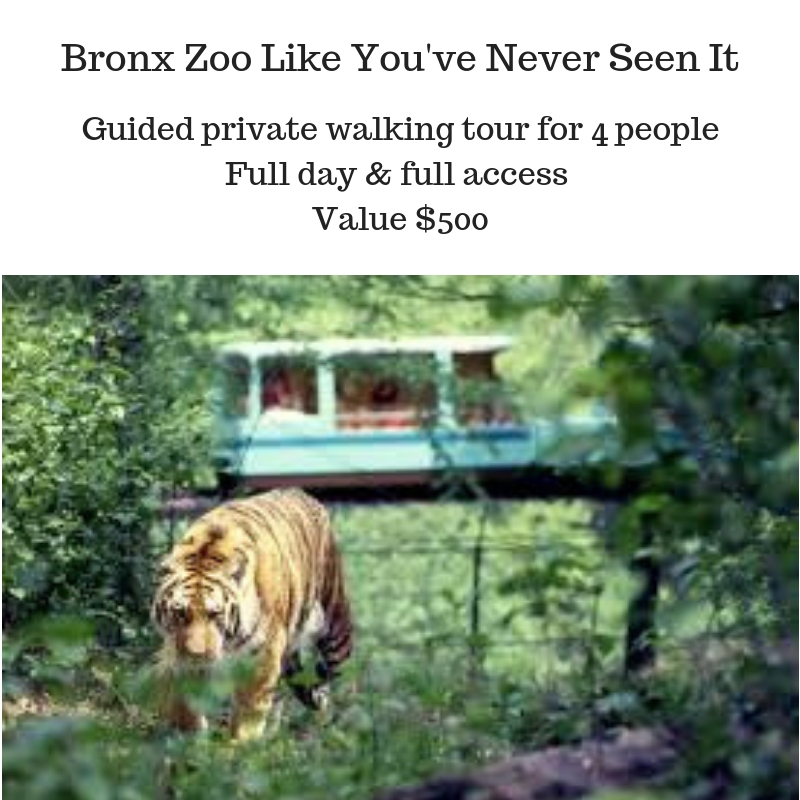 Bronx Zoo Like You've Never Seen It.jpg