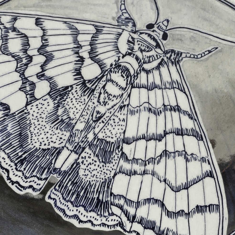 The Endangered Species Project - Sept 21 - Nov 9