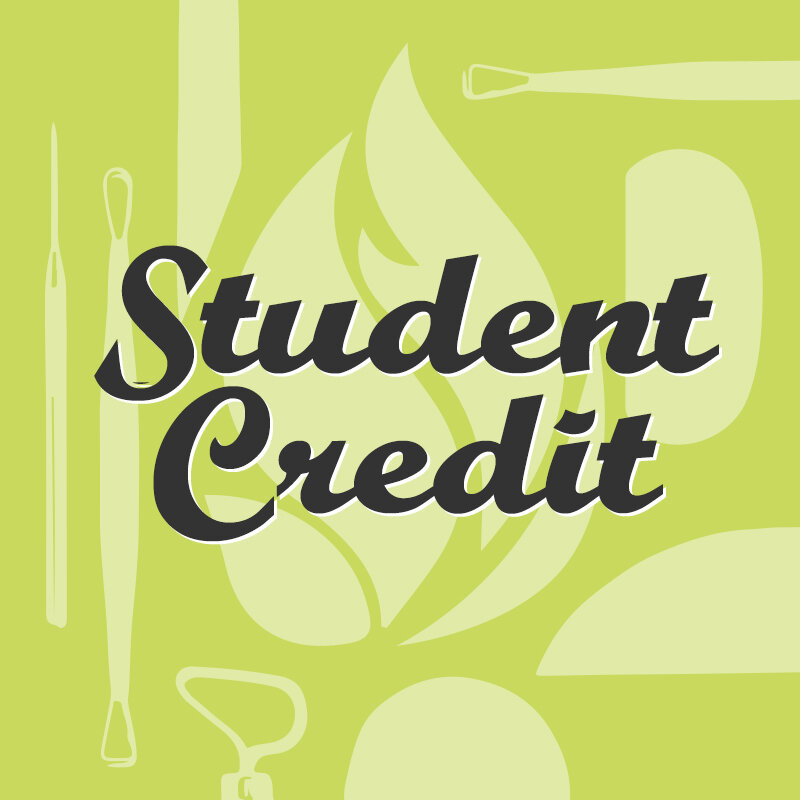 Student Credit