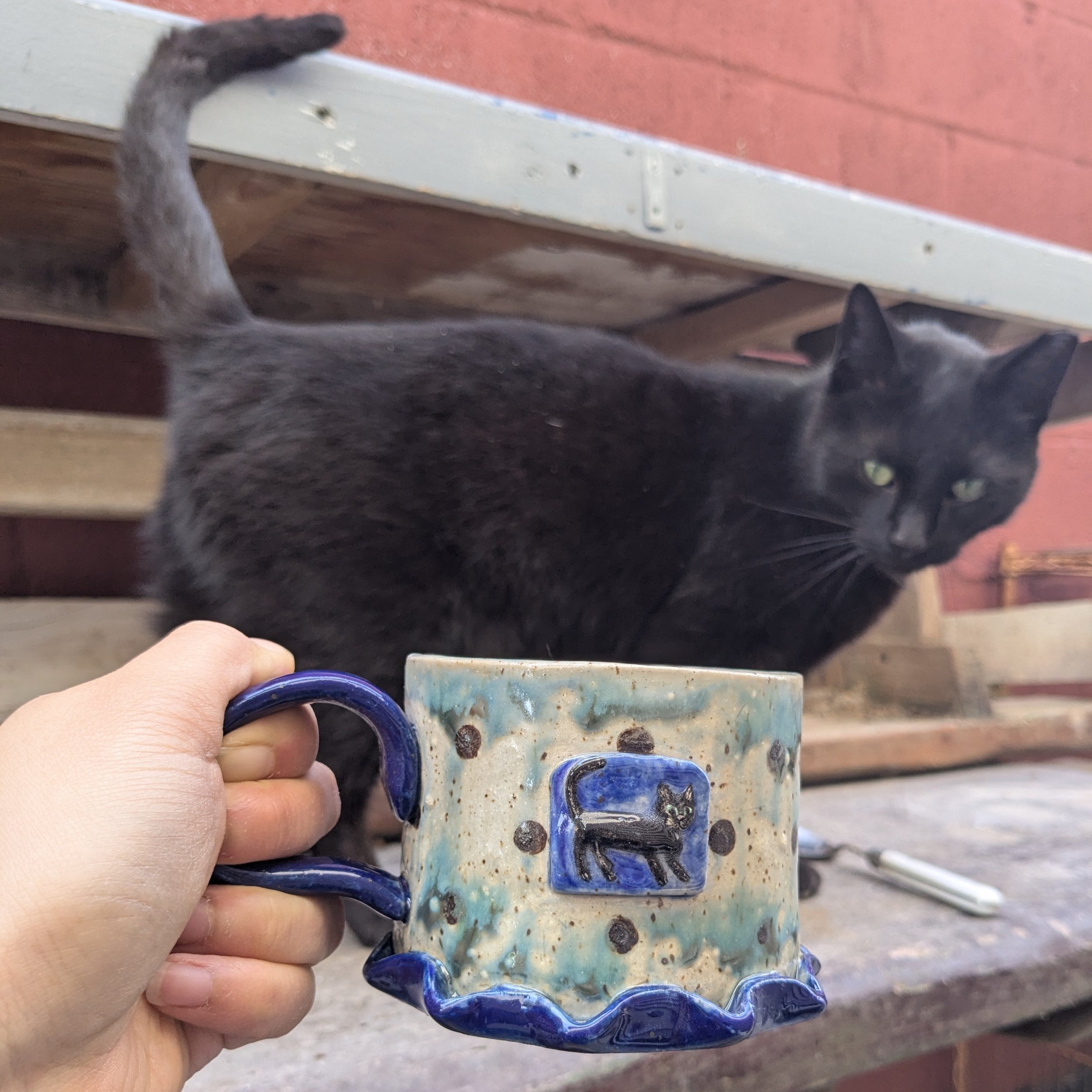 The Clay Art Center Cat Colony