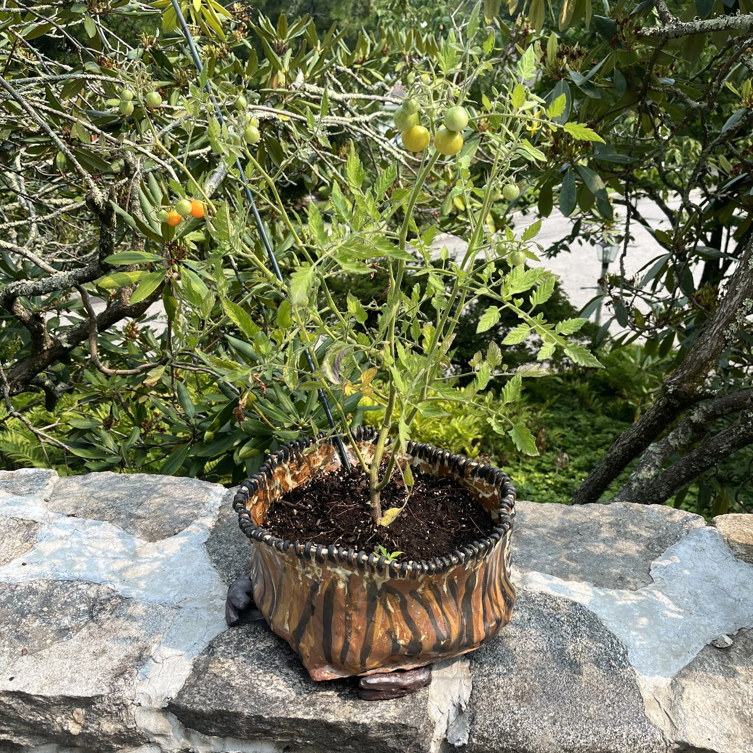 IMG_2965 - Stephanie Mark.jpeg