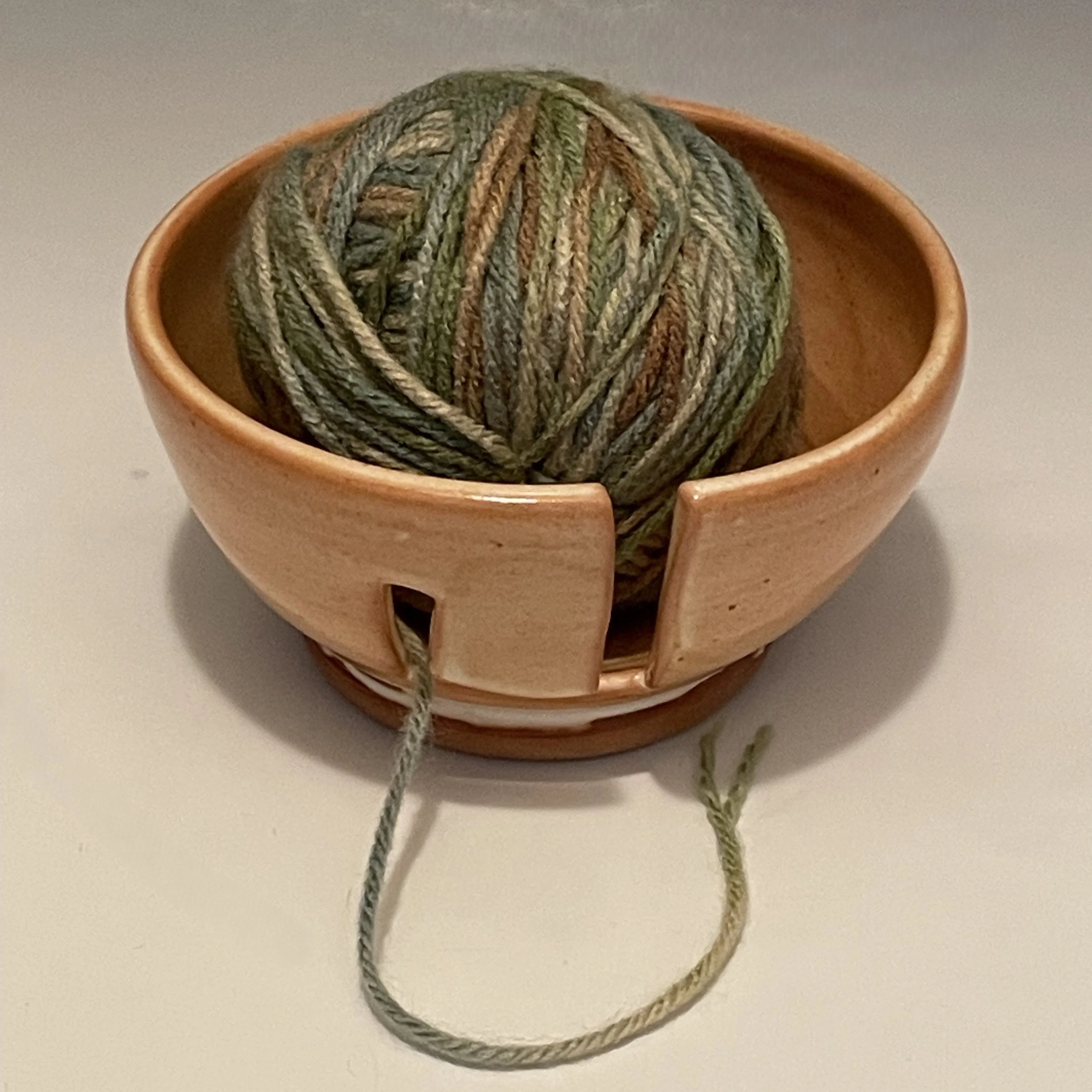 IMG_8055 - Susan Gans.jpeg