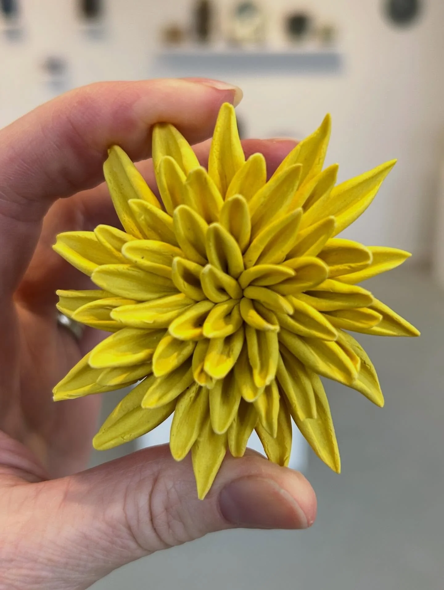 New Arrivals at Clay Art Center Shop! Rose Foley hand sculpted porcelain flower magnets. 

Looking for the kind of Valentine&rsquo;s Day Gift that lasts? We have just uploaded a small selection of hand sculpted flower magnets by Rose Foley to our onl