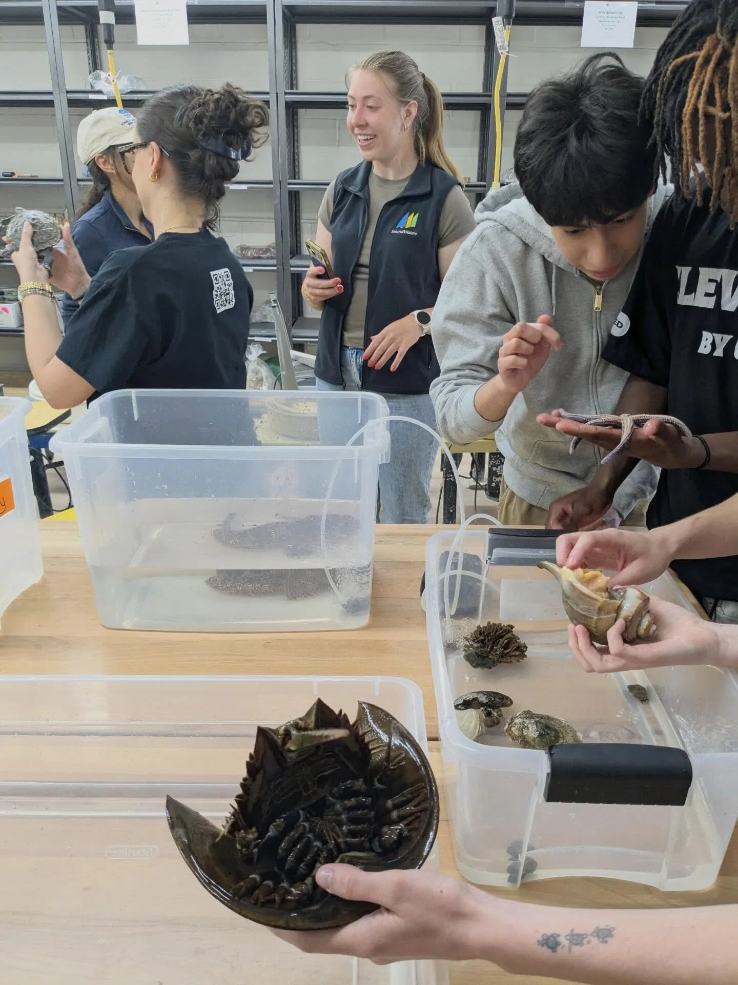 Long Island Sound Day!

Today, Clay Art Center partnered with Environmental Leaders of Color (ELOC) of Mount Vernon, and SoundWaves of Stamford, CT to bring a unique clay and environmental learning experience to local families. Science educators intr