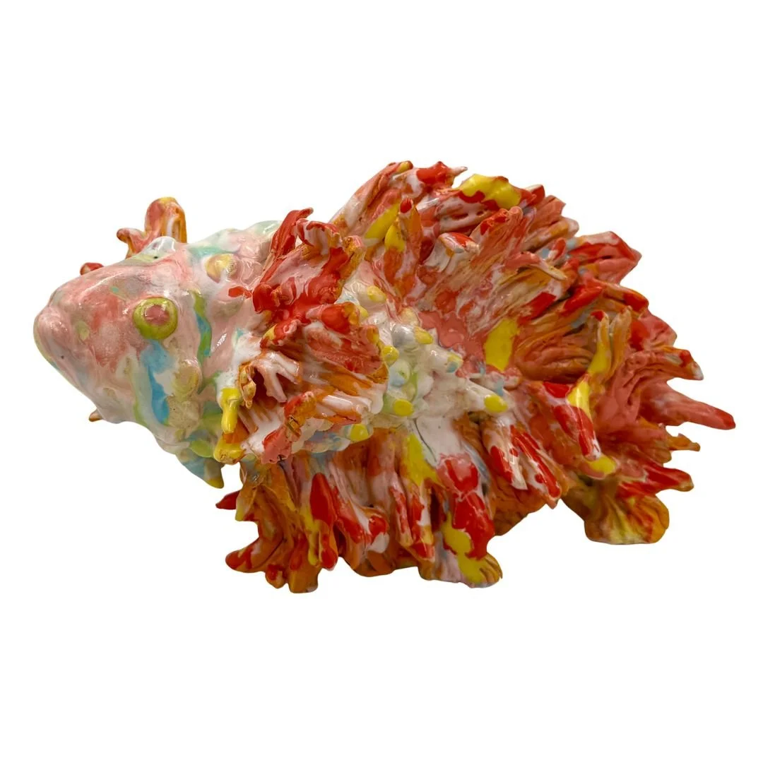 Christine Raposas Finger Betta Fish