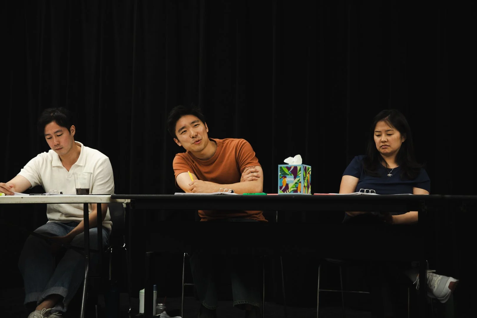 The People's Committees