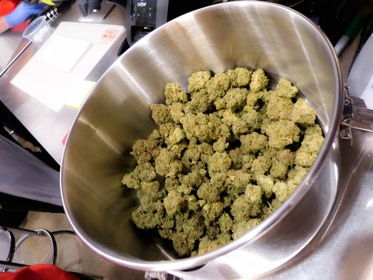 Cannabis Software Companies Seek to Legitimize the Marijuana Industry and Cash In