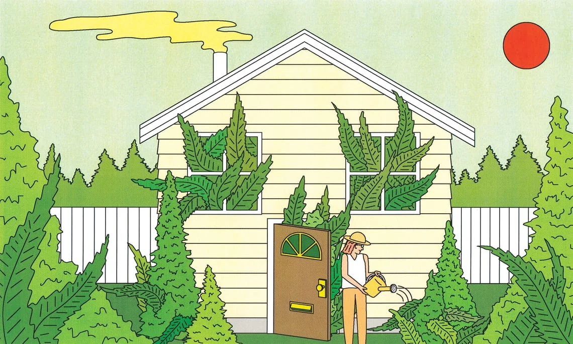 Should I grow my own weed at home? Here's what you need to know