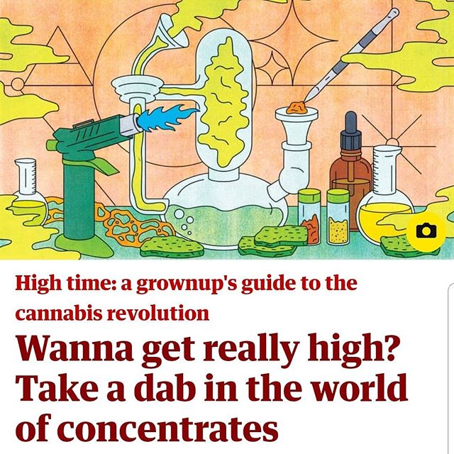In Alex's new column for @guardian, he visits the world of #dabbing and #concentrates, with appearances from @puffco and @theclearconcentrates and delightful art by @sassybluepanda !

#cannabusiness #cannabiz #dablife #420 #420girls #marijuana #hash 