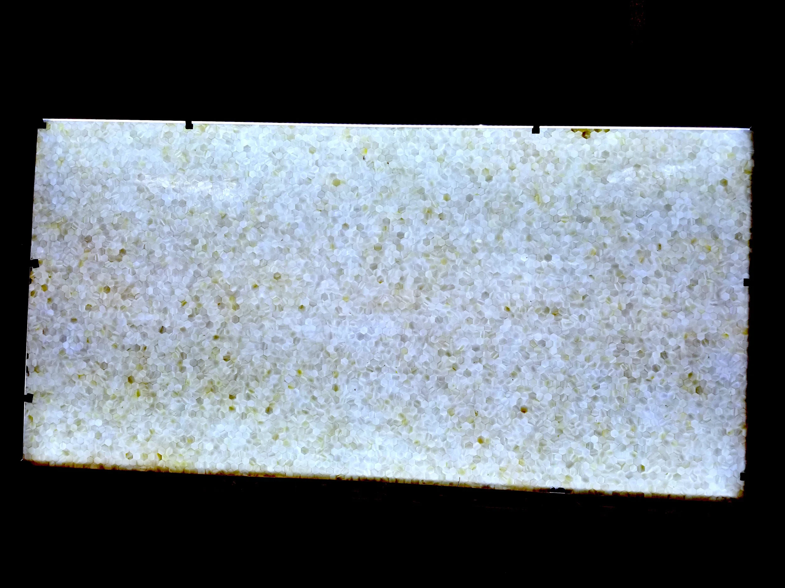 backlit hexagon shell panel.jpg