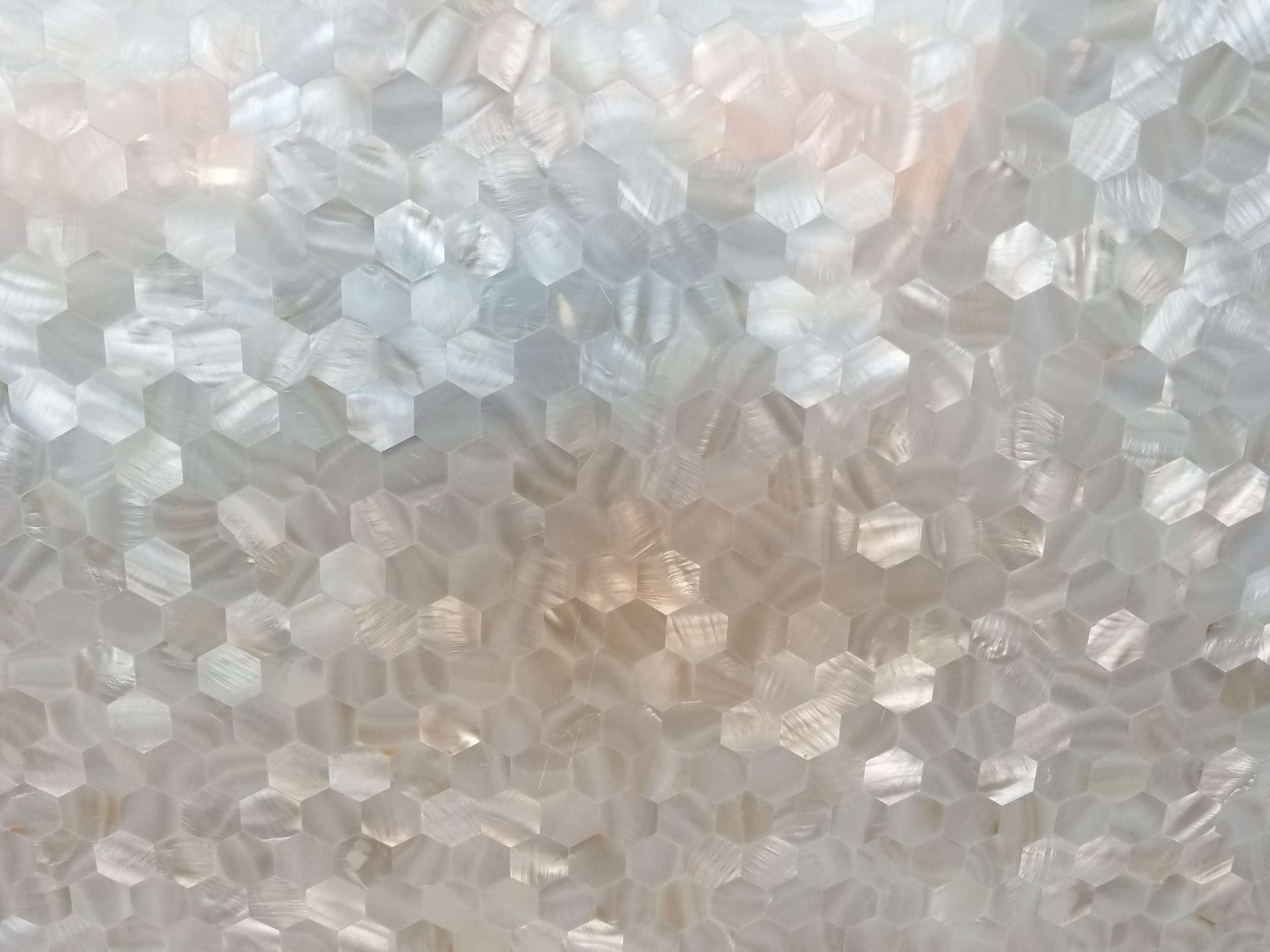 white hexagon shell .jpg