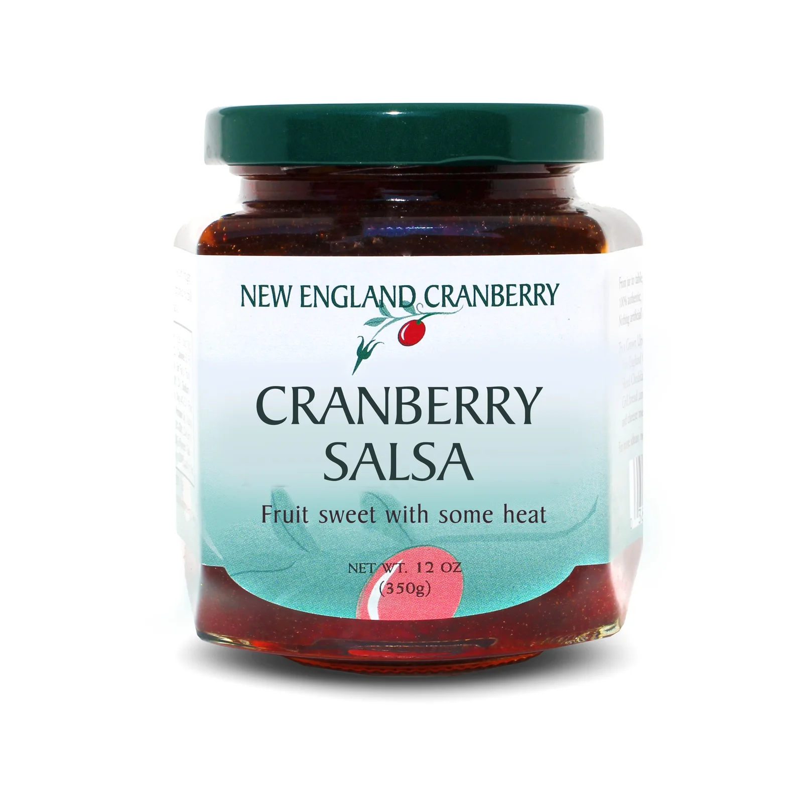 Salsa Newest.jpg
