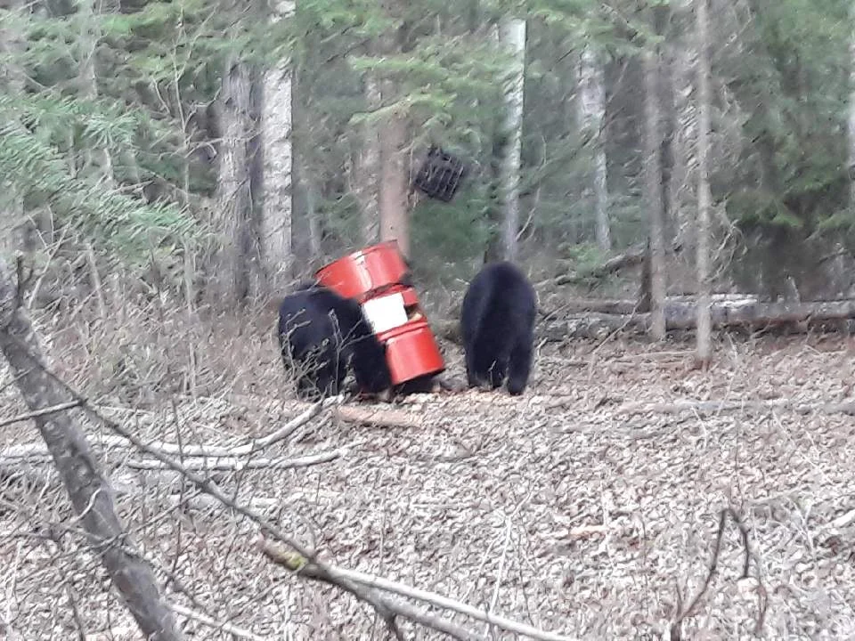 180519_043737_9.jpeg