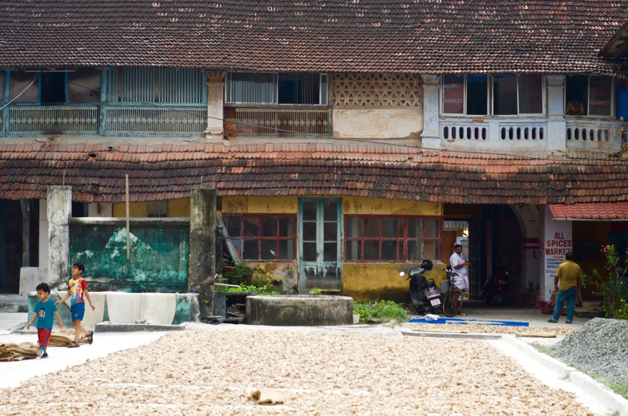 A ginger warehouse; in the foreground ginger is being dried for export