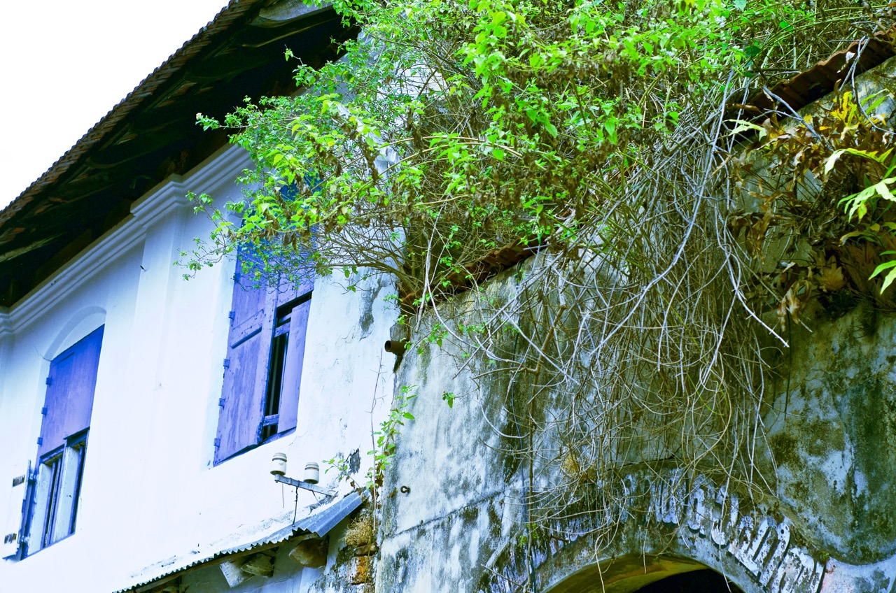 The partially ruined community hall in Jew Town