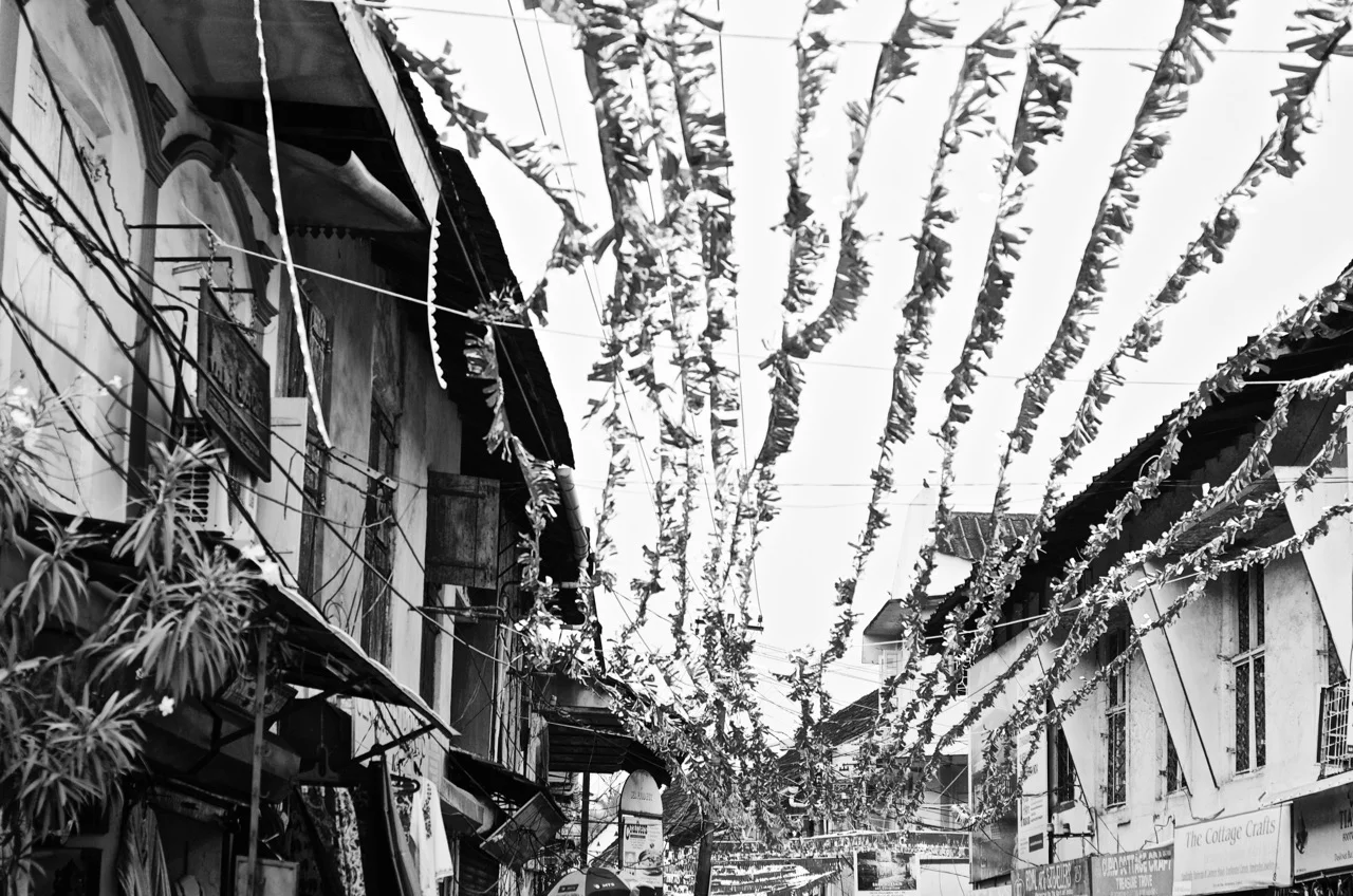 Sonic sequins that whisper in Fort Kochi's breeze