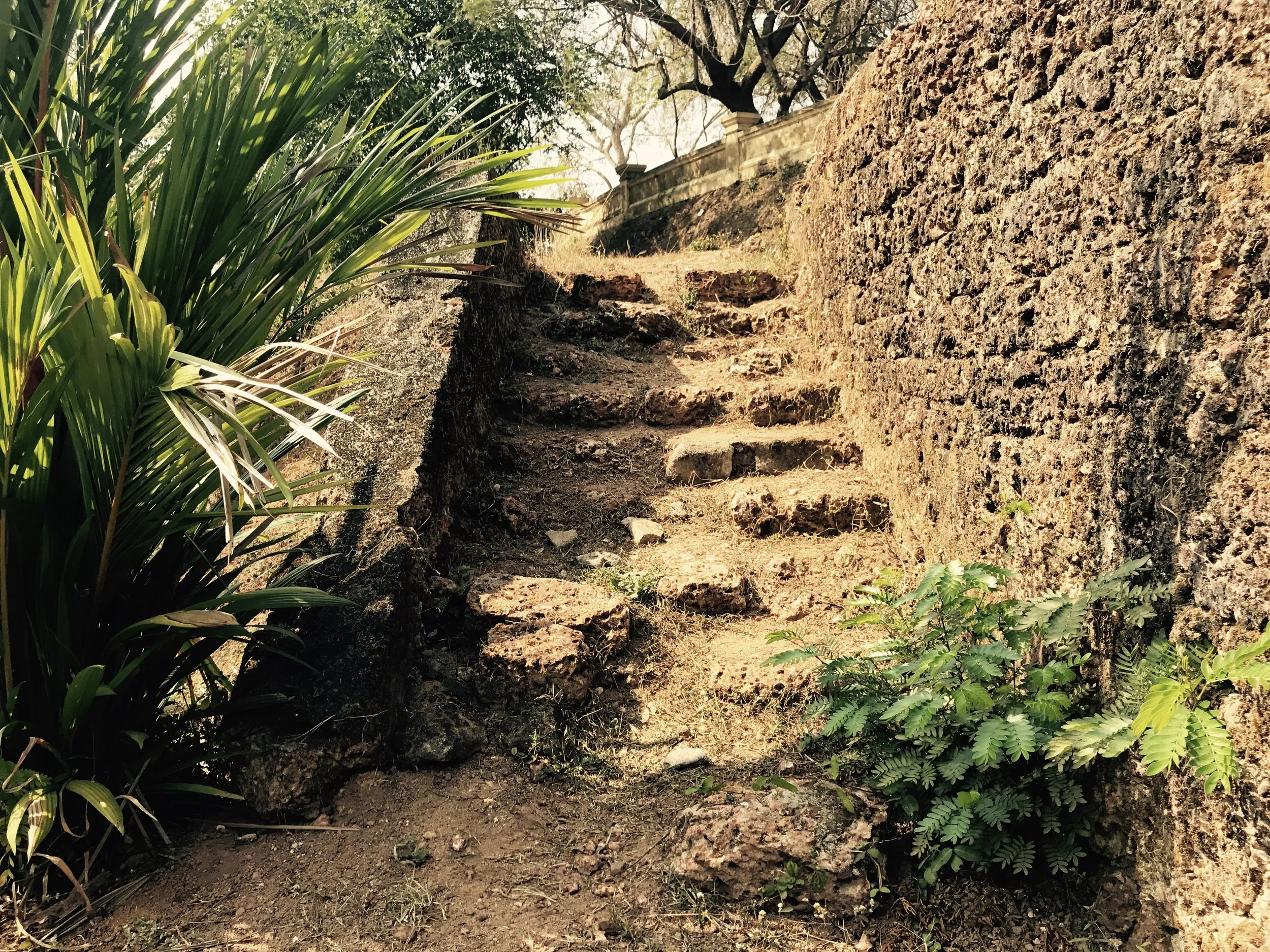 Stairway Leading to the Hideout
