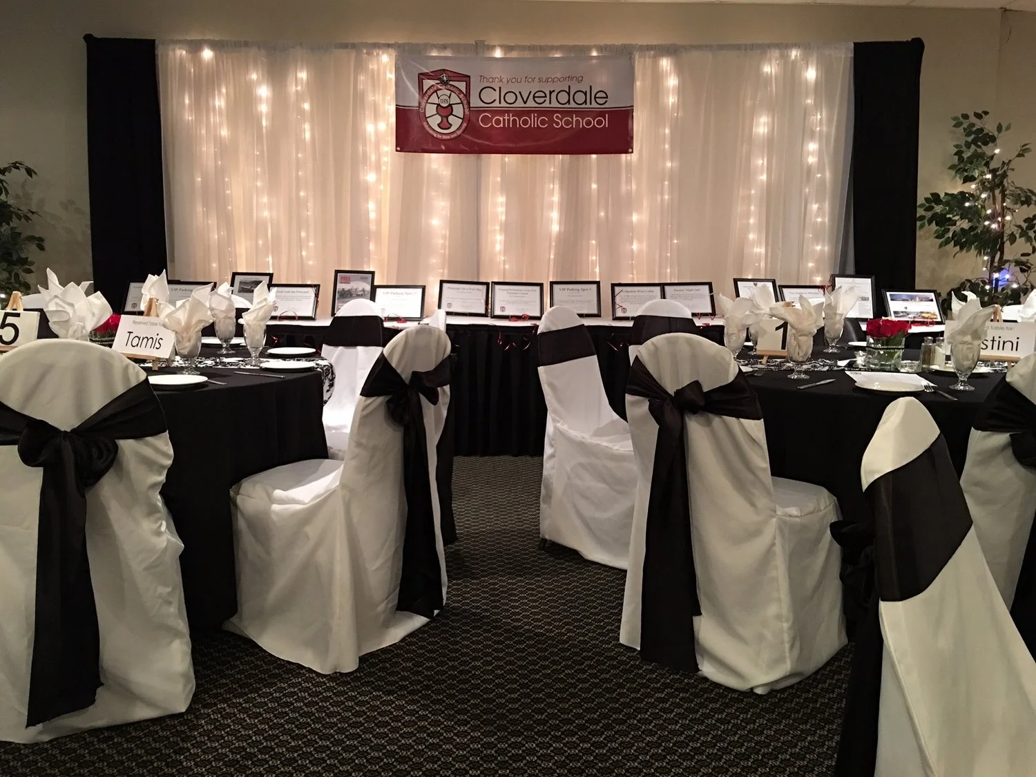 Do you own a business?  Sponsor the 2018 CCS Gala!