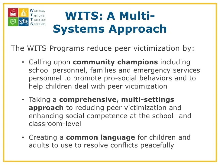 wits slide.jpg