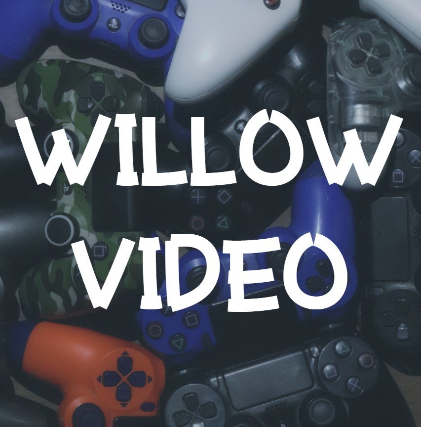 Willow Video.jpg