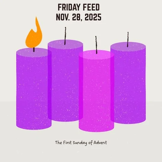 Friday Feed- November 28