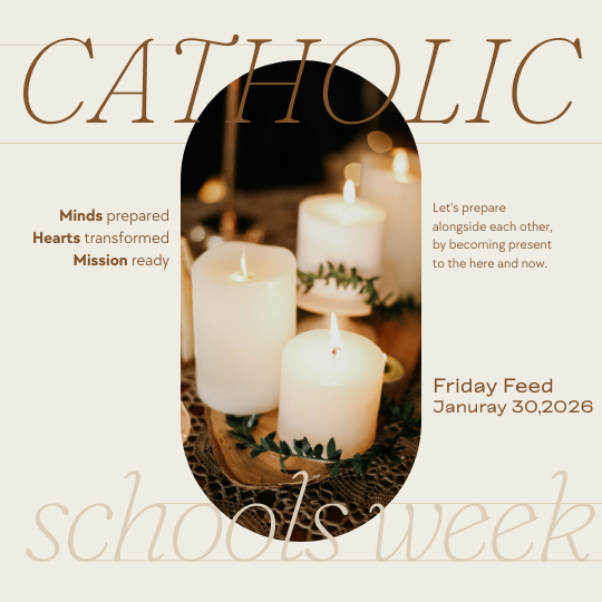 Friday Feed- January 30, 2026