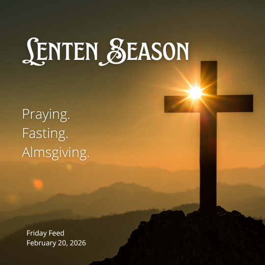 Friday Feed- February 20, 2026