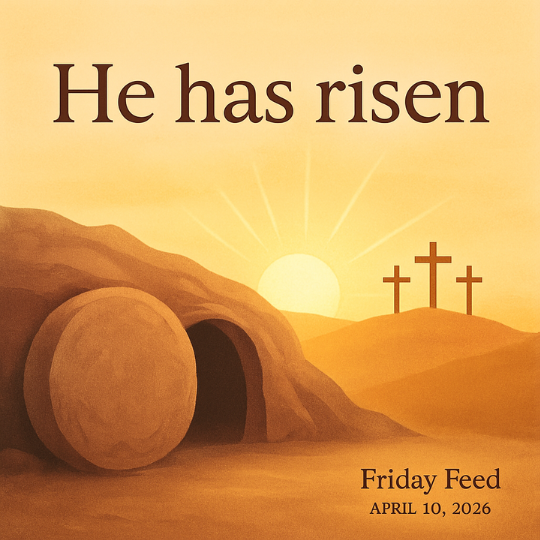 Friday Feed- April 10, 2026