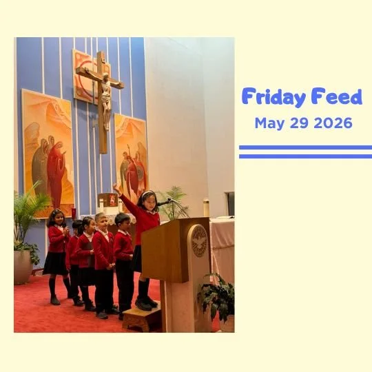 Friday Feed- May 29, 2026