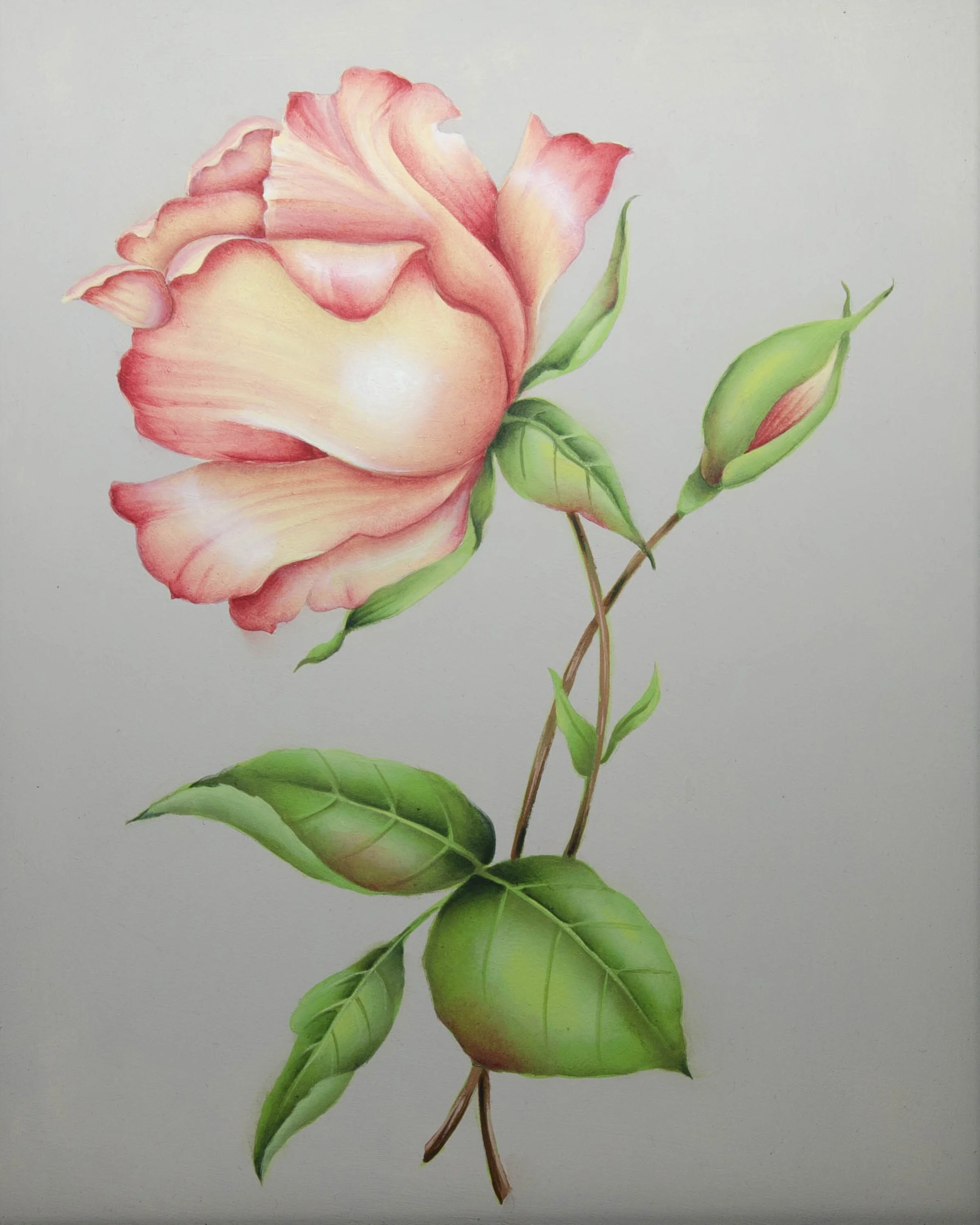 A Pink Rose 8x10 copy.jpg
