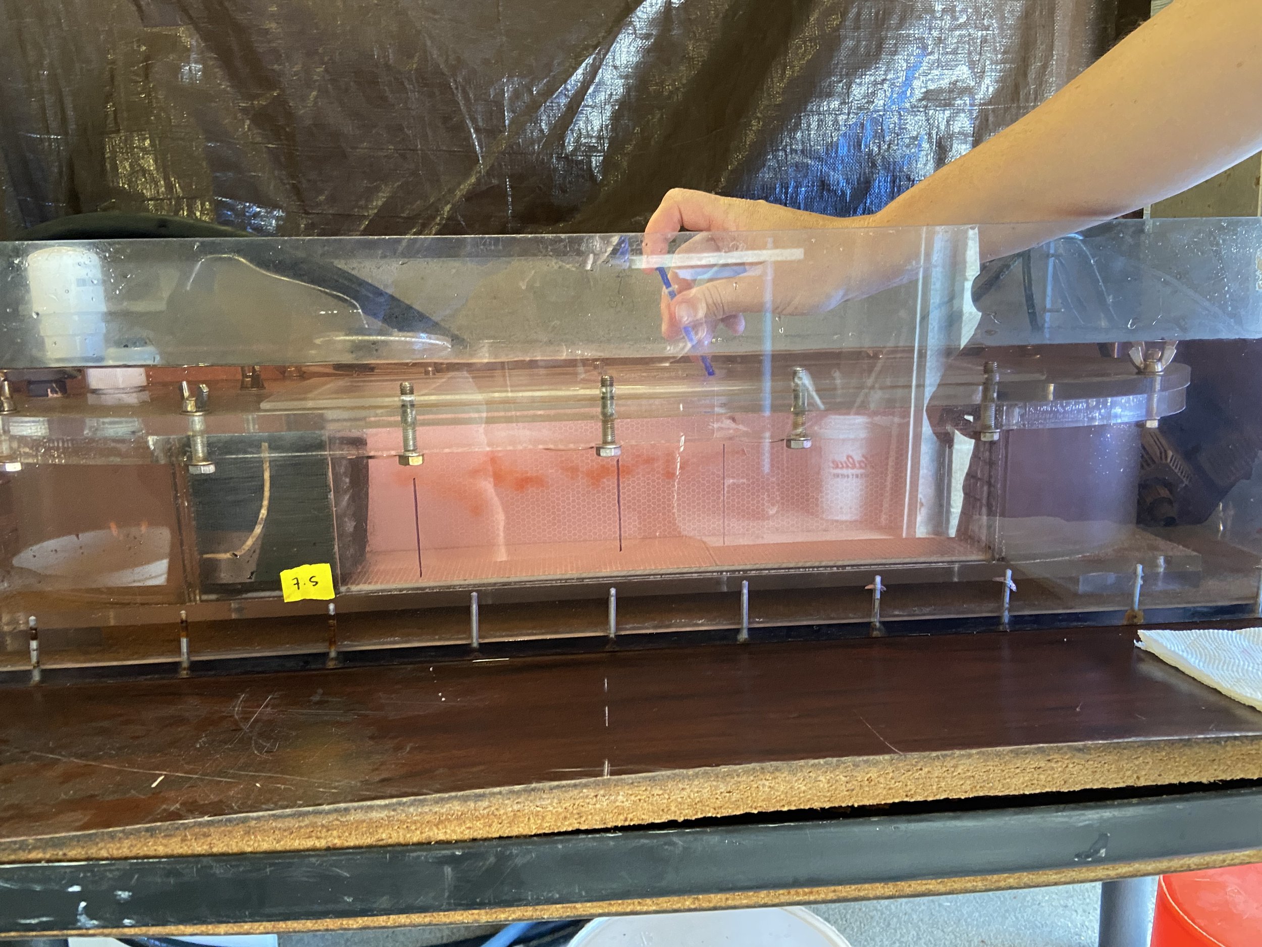  Testing the swimming capacity of silverside juveniles at the Rankin Lab at the University of Connecticut - Avery Point 