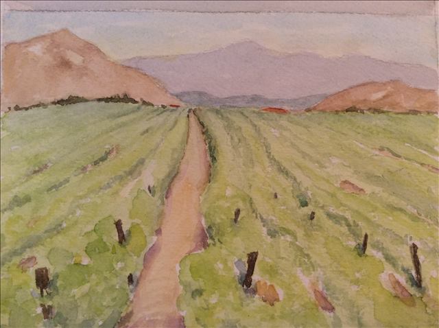 Temecula Vineyard Watercolor, June 2015