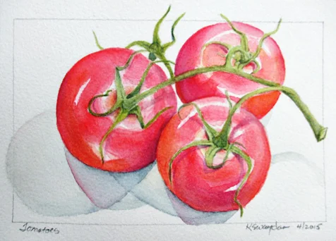 Tomatoes 8 x 10" matted $225